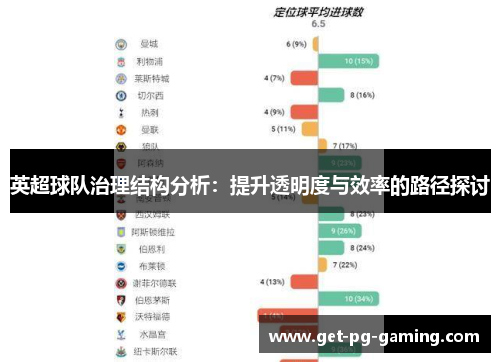 英超球队治理结构分析：提升透明度与效率的路径探讨
